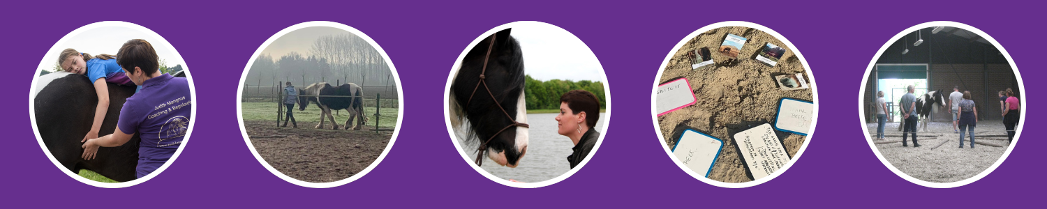 Judith Mangnus Heikant Zeeuws Vlaanderen coaching en begeleiding met behulp van paarden